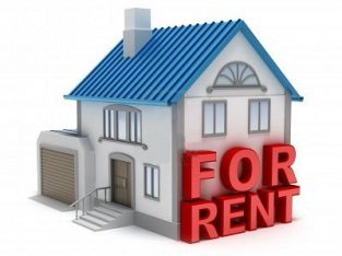 1 BHK Single Bed room Flat Available for Rent In H.M.T Chintal,Mahendranagar