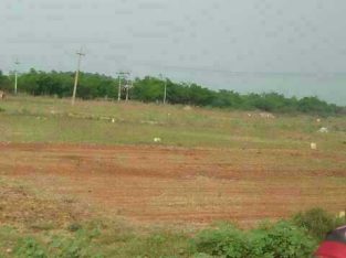DTCP APPROVED PLOTS FOR SALE IN COIMBATORE