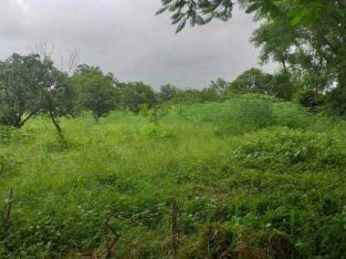 300 acrs land free zone 7 12  rs180000000