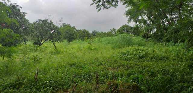 300 acrs land free zone 7 12  rs180000000