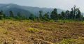 100-150 bigha Land available for Resorts, Homestay & farm House at Dhaulas Dehradun