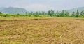100-150 bigha Land available for Resorts, Homestay & farm House at Dhaulas Dehradun