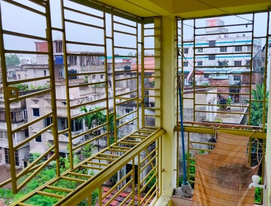 Sell Flat at Patipukur