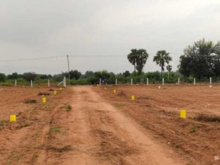 DTCP Approved Plots