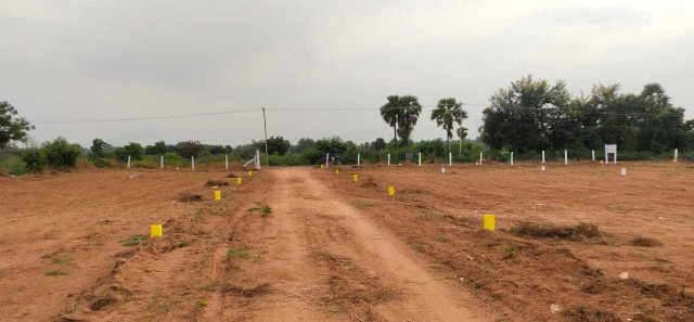 DTCP Approved Plots