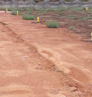 plots for sale