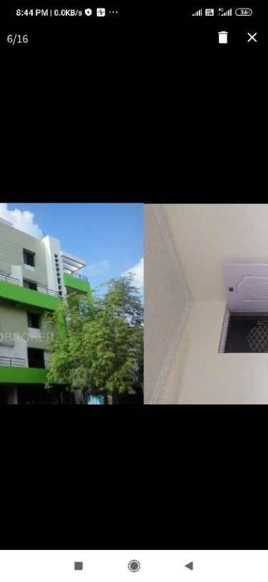 1 bhk flat on rent