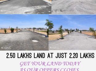 plot and lands