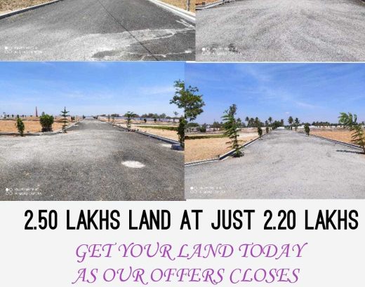 plot and lands