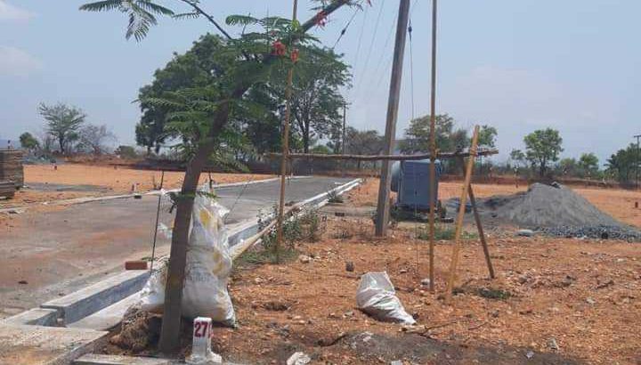 plot and lands