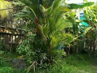 Sale of land