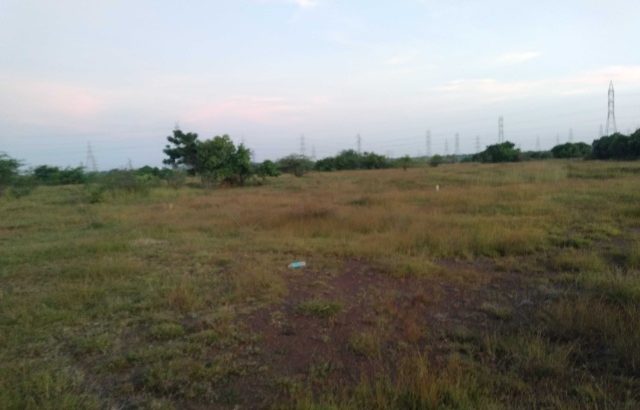 Future Commercial Land