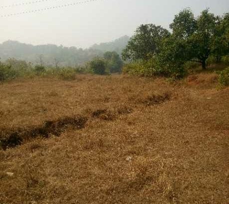 Agricultural land for sale in MURUD janjira with mangoes tree and electricity ideal land