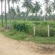 Farm Land Sale In Coimbatore
